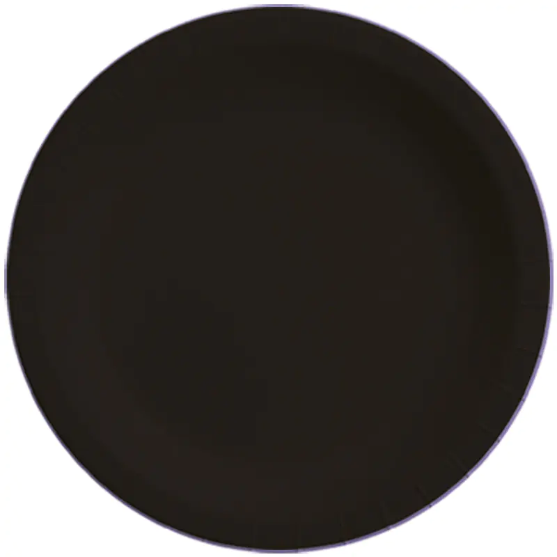 Pastel Black Paper Plate