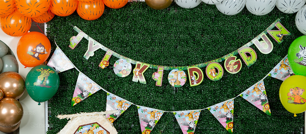 Safari Party Set